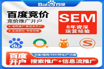 SEM运营中的数据分析和优化案例研究