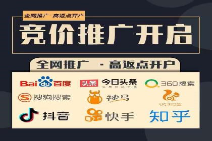 百度搜索推广实战技巧：成功案例启示录